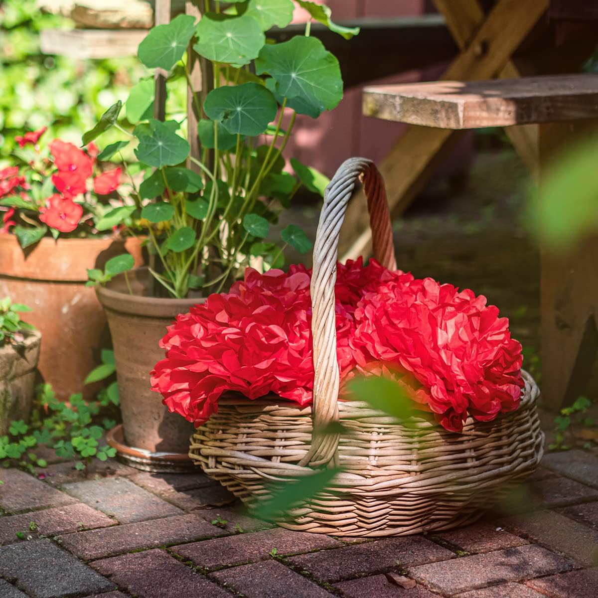 Red Tissue Paper Pom Poms - Red Party Decorations for Birthdays, Weddings, Baby Showers and Special Occasions by Avoseta (16 Piece Set, Assorted Sizes)