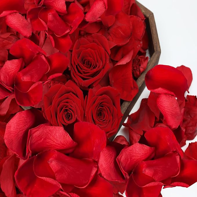 Fortunate Flowers Real Rose Petals Red for Wedding Table, 1.2oz/35g Preserved Red Forever Dried Flower Petals for Flower Girl Basket Romantic Night Wedding Proposal Centerpeice Shower Party Decor