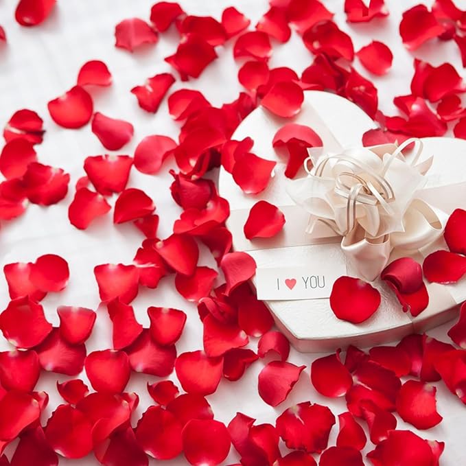 240 PCS Real Red Rose Flower Petals Confetti for Wedding Flower Girl to Throw 2.11oz Freeze Dried Rose Petal for Proposal Centerpieces BabyShower Valentine's Day Romantic Night Decor