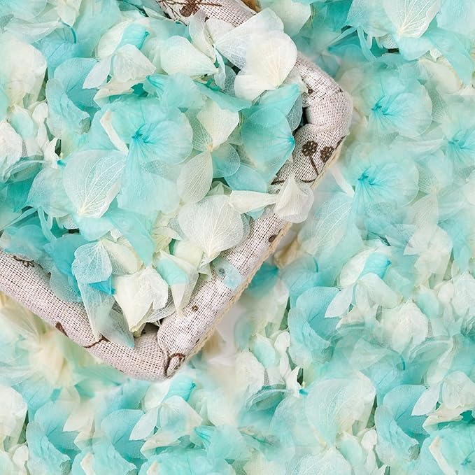 VAIPI 2500 Pieces Hydrangea Flower Petals 1.76 oz Blue White Real Nature Dried Flower Petal for Weddings, Party Flower Confetti, Valentine's Day, Flower Girl Baskets, Romantic Night, Proposal Decor