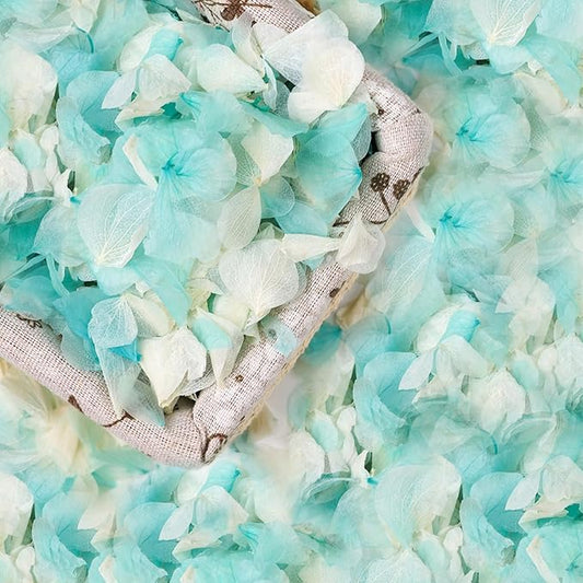 VAIPI 2500 Pieces Hydrangea Flower Petals 1.76 oz Blue White Real Nature Dried Flower Petal for Weddings, Party Flower Confetti, Valentine's Day, Flower Girl Baskets, Romantic Night, Proposal Decor