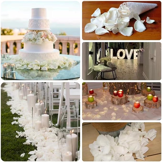 300Pcs Dried Real White Rose Petals, Freeze Preserved Flower Petals 2.8 oz for Gifts Wedding Party Decor, Dinner Table Centerpieces, Bridal Shower, Confetti 80g