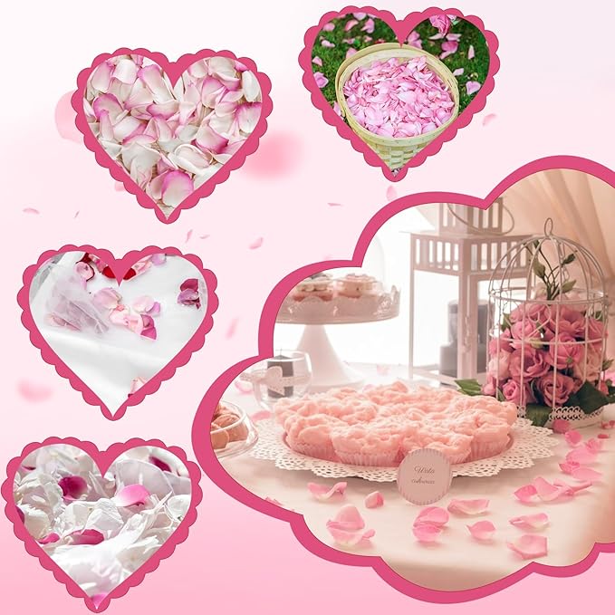 240 PCS Real Pink White Rose Flower Petals Confetti for Wedding Flower Girl to Throw 2.11oz Freeze Dried Rose Petal for Proposal Centerpieces Valentine's Day Romantic Night Decor