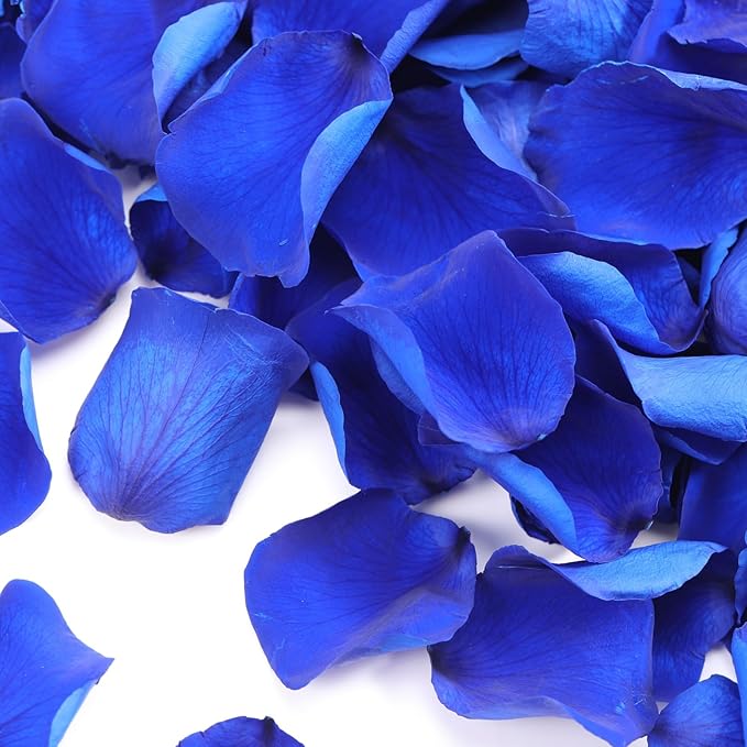 Dried Real Rose Petals, Natural Preserved Dry Flower Petals for Wedding Party Dinner Table Decor, Romantic Night for Her Set, Engagement, Bridal Shower, Valentine's Day, Confetti (1.6 oz, Blue)