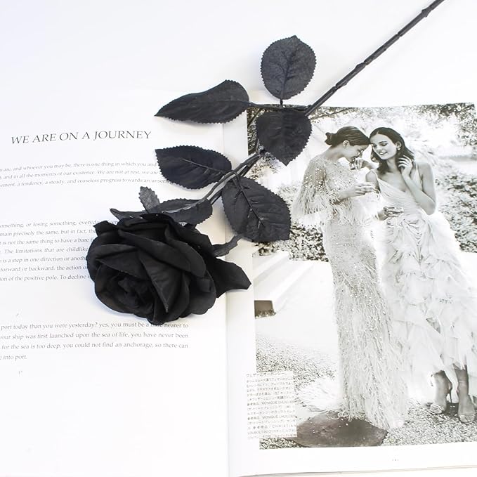Black Roses Artificial Flowers, 12 Pcs Fake Rose in Bulk, Long Stem Realistic Silk Roses Bouquet for Centerpieces Flower Arrangement, Halloween Home Decor, Gothic Decoration (Black2, 12-PCS)