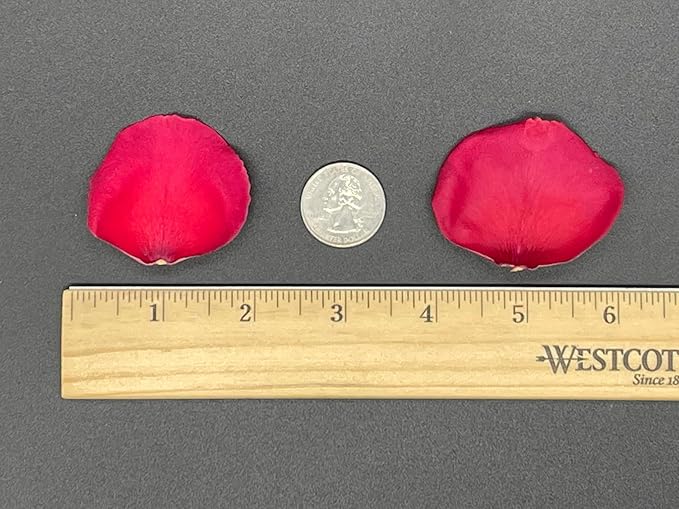 Rose Petals for Wedding Decoration, Bridal Toss, and Aisles, 10 cups, Freeze Dried, Use within 1 month (Red)
