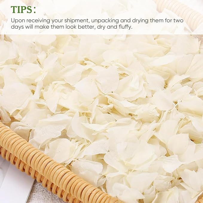 1500pcs Real Dried Ivory White Hydrangea Flower Petals - Natural smal Petals for Wedding, Flower Girl Baskets, Party Confetti, Valentine's Day, Romantic Night, Handcrafts (1.06 oz/30g)