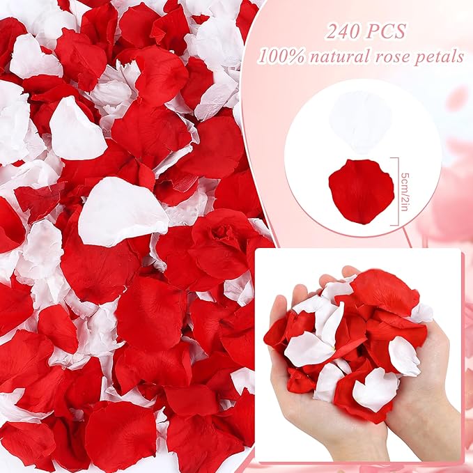 240 PCS Real Dried Red White Rose Flower Petals Confetti 2.11oz Freeze Preserved Flower Petals for Wedding Party Decor Proposal Centerpieces Valentine's Day Romantic Night Decor