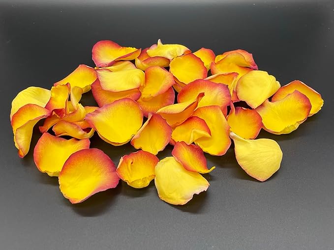 Rose Petals for Wedding Decoration, Bridal Toss, and Aisles, 10 cups, Freeze Dried, Use within 1 month (Tequila Sunrise)