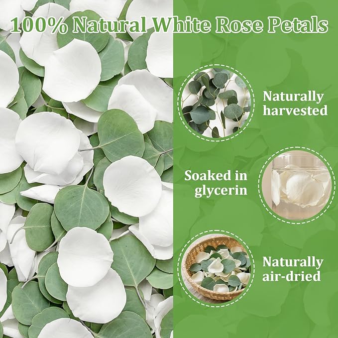Eslibin 500+PCS Real White Rose Petals & Natural Eucalyptus Leaves, 4.23oz (120g) – Freeze Dried Flower Petals Confetti for Wedding Flower Girl Toss, Aisle Runner, Table Scatter, Bridal Shower Decor