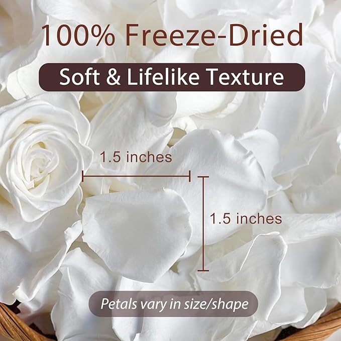 Real White Rose Petals for Weddings, 1.75oz Freeze Dried Preserved Flower Petals for Flower Girl, Table Scatter, Romantic Proposal Décor, Biodegradable Party Confetti (50g)