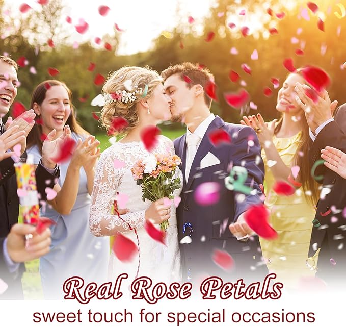 Real Dried Rose Petals – 300+PCS Freeze Dried Red Flower Petals for Weddings, Flower Girl Basket, Party Confetti, Romantic Night, Proposal Decor(2.82oz)