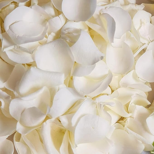 180Pcs Dried Real White Rose Petals, Freeze Preserved Flower Petals 1.75oz for Gifts Wedding Party Decor, Dinner Table Centerpieces, Bridal Shower,Confetti