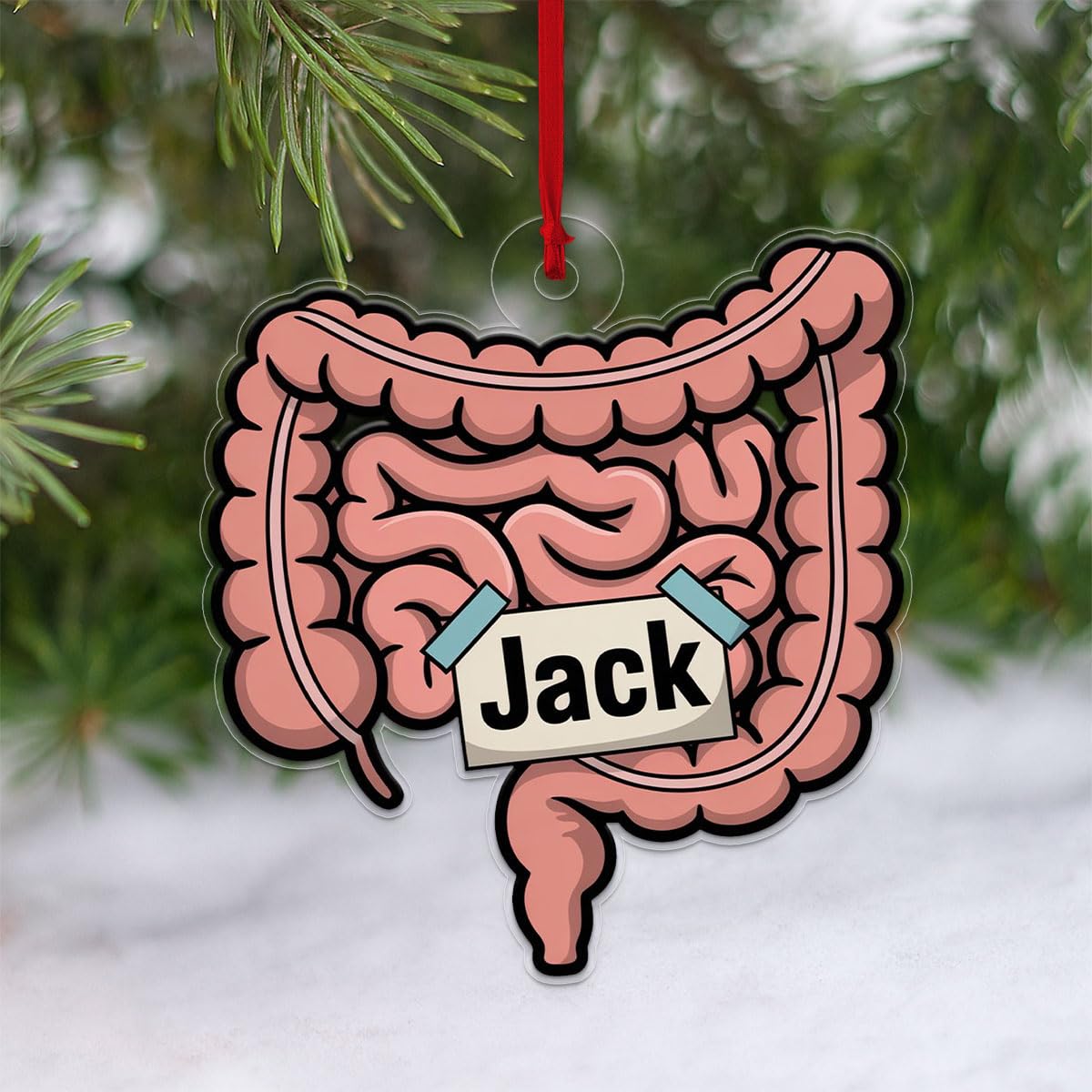 Personalized Intestines Ornament, Custom Anatomy Christmas Ornament, Medical Student Gift, Doctor Nurse Holiday Decoration, Unique Keepsake Acrylic Ornament – Personalized