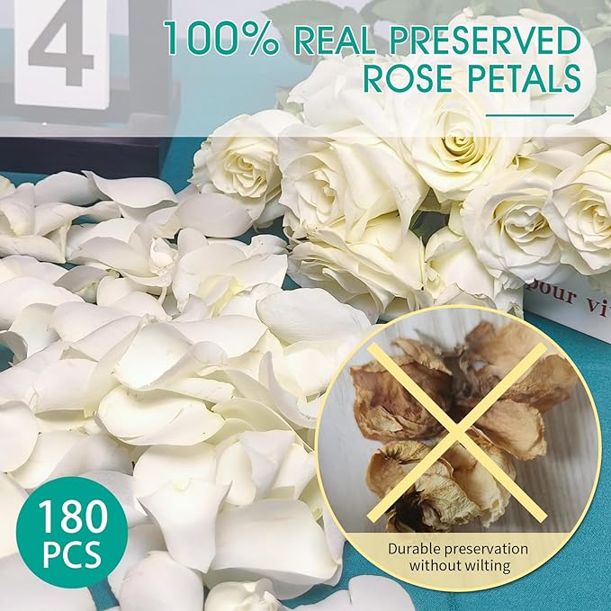 180Pcs Dried Real White Rose Petals, Freeze Preserved Flower Petals 1.75oz for Gifts Wedding Party Decor, Dinner Table Centerpieces, Bridal Shower,Confetti