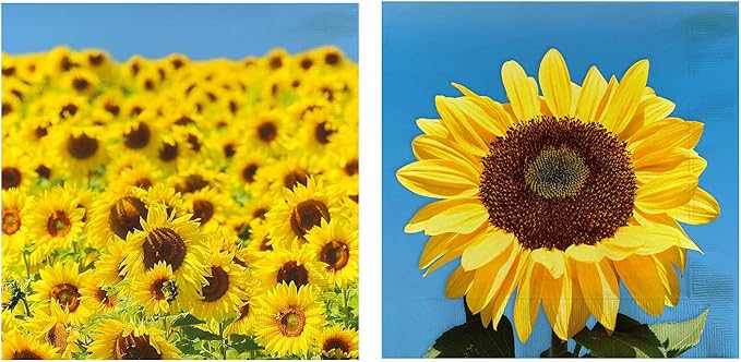 Iconikal 75-Count Disposable Paper Party Napkins Sunflower Fields 6.5x6.5-Inch 2-Ply 2-Sided Design Birthday Dinner Event Decor Bulk Pack