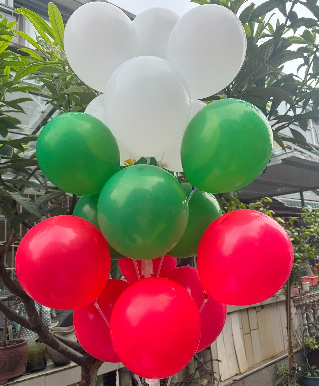 60 Pcs 12-Inch Latex Balloons in Red, Green, and White - Perfect for Christmas, New Year,Graduation, Birthday, Baby Shower, and Party Decorations