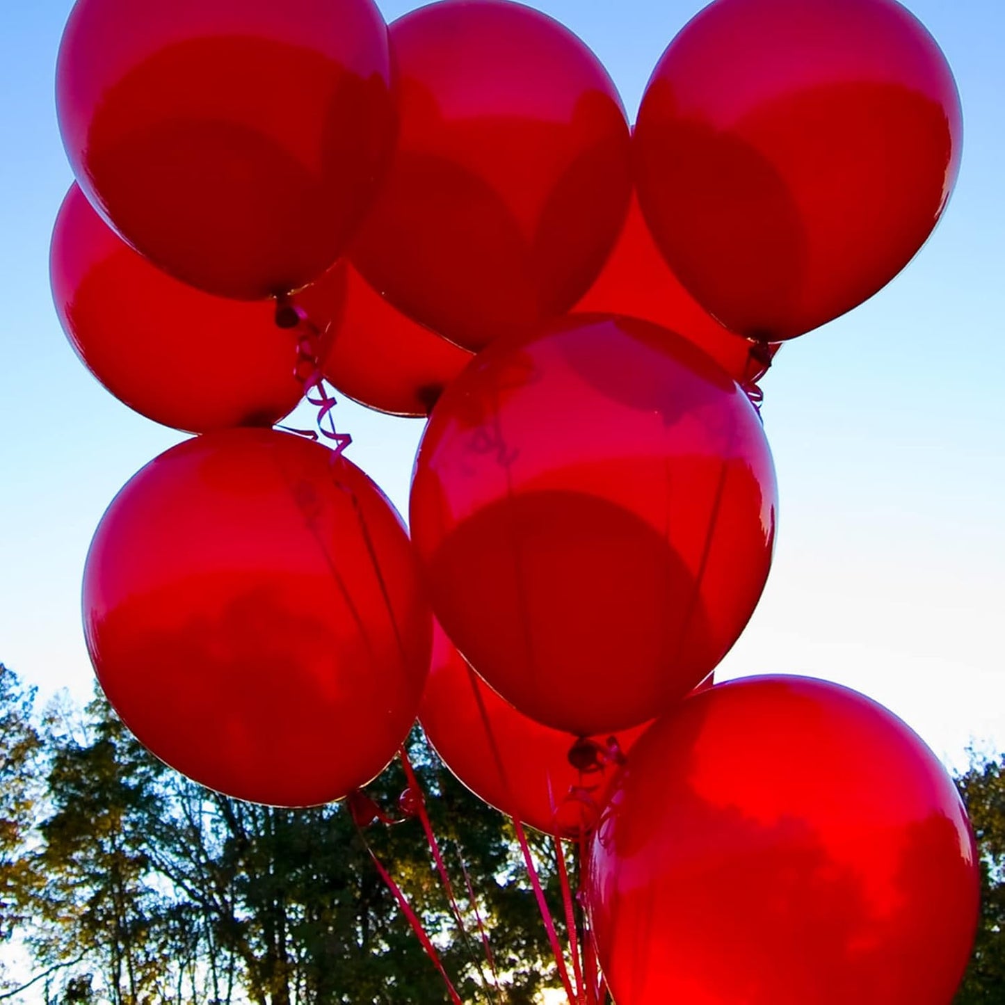 105pcs Red Balloons 12inch Party Latex Balloons for Valentine's Day Birthday Christmas Baby Shower Wedding Anniversary Party Decorations