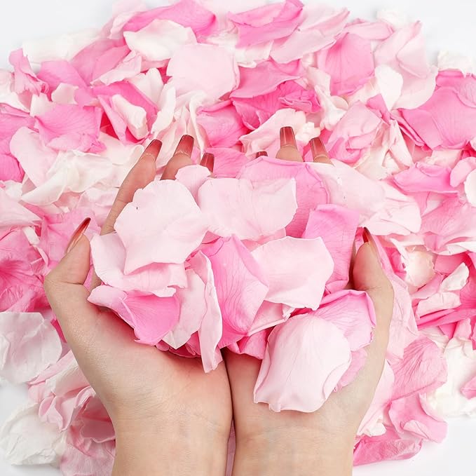 240 PCS Real Pink White Rose Flower Petals Confetti for Wedding Flower Girl to Throw 2.11oz Freeze Dried Rose Petal for Proposal Centerpieces Valentine's Day Romantic Night Decor