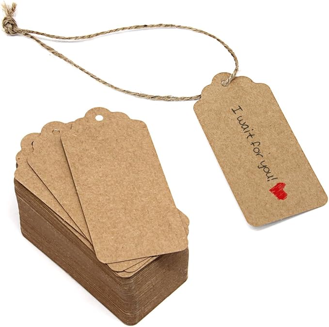 300 Feet Natural Jute Twine and 100PCS Brown Rectangle Kraft Paper Gift Tags for Crafts & Price Tags Labels by Blisstime