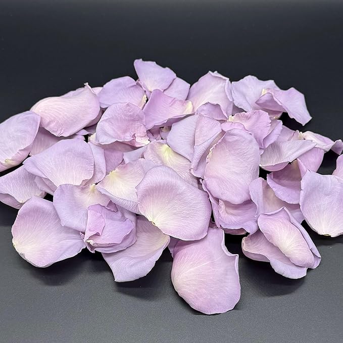 Rose Petals for Wedding Decoration, Bridal Toss, and Aisles, 10 cups, Freeze Dried, Use within 1 month (Lavender)