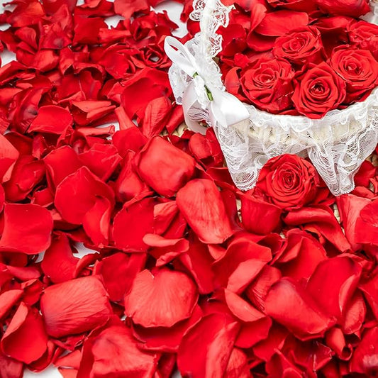 Eslibin 340 PCS Real Red Rose Petals, 3.17oz Dried Flower Confetti Petals for Wedding Flower Girl to Throw at Wedding Party, Romantic Night Bridal Shower Valentine's Day Decor
