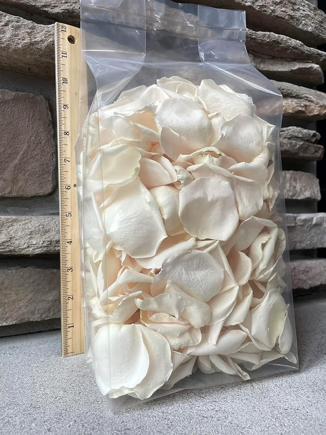 Rose Petals for Wedding Decoration, Bridal Toss, and Aisles, 10 cups, Freeze Dried, Use within 1 month (Ivory)