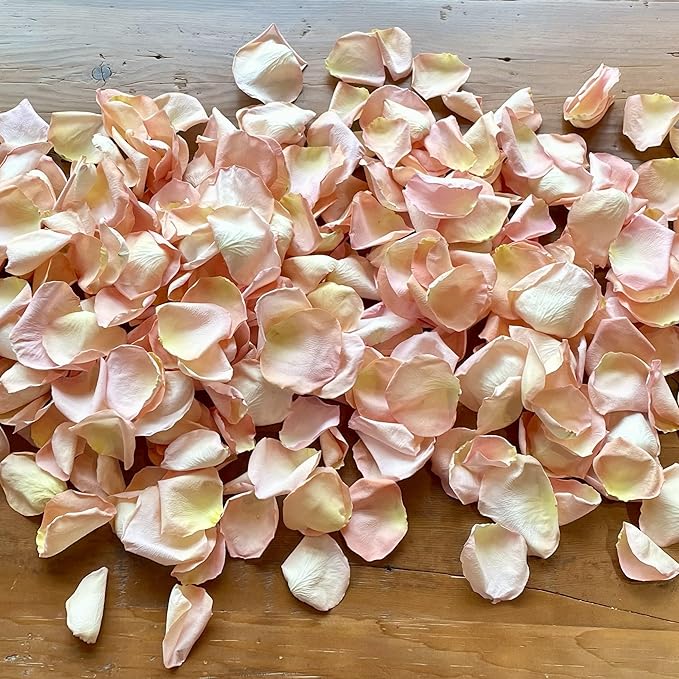 Rose Petals for Wedding Decoration, Bridal Toss, and Aisles, 10 cups, Freeze Dried, Use within 1 month (Seashell)