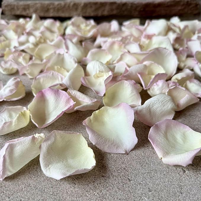 Rose Petals for Wedding Decoration, Bridal Toss, and Aisles, 10 cups, Freeze Dried, Use within 1 month (Whisper)