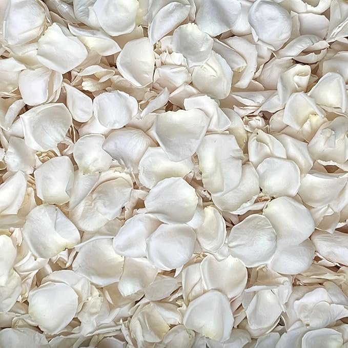 Rose Petals for Wedding Decoration, Bridal Toss, and Aisles, 10 cups, Freeze Dried, Use within 1 month (Ivory)