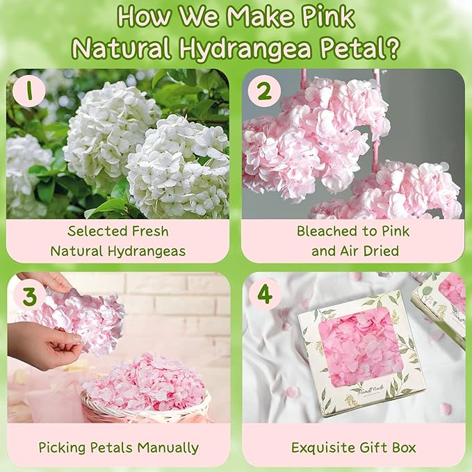 1500+ Real Dried Lvory White Hydrangea Petals - 0.88 oz Preserved Natural Flower Petals for Wedding Decor, Flower Girl, Party Confetti, Dinner Table Centerpieces, Handcrafts (Pink 1.06oz)