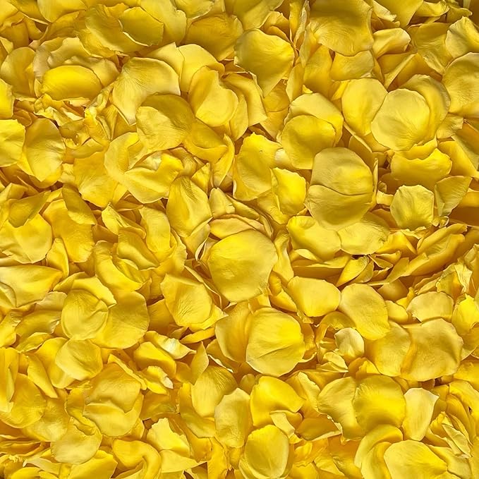 Rose Petals for Wedding Decoration, Bridal Toss, and Aisles, Freeze Dried, Use within 1 month (Yellow, 10 cups)
