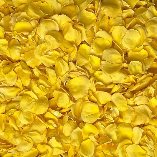 Rose Petals for Wedding Decoration, Bridal Toss, and Aisles, 10 cups, Freeze Dried, Use within 1 month (Yellow)