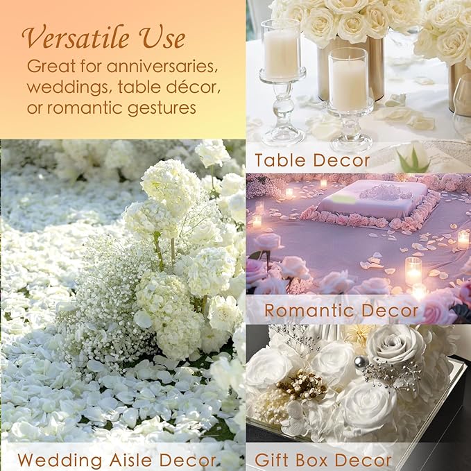 Dried Real White Rose Flower Petals for Wedding, 2.82oz Preserved Dried Ivory Petals for Flower Girl Basket, Dinner Table Centerpieces ,Romantic Night, Proposal Décor(80g)