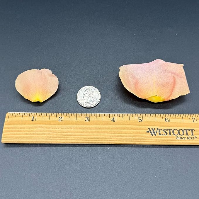 Rose Petals for Wedding Decoration, Bridal Toss, and Aisles, 10 cups, Freeze Dried, Use within 1 month (Peach)
