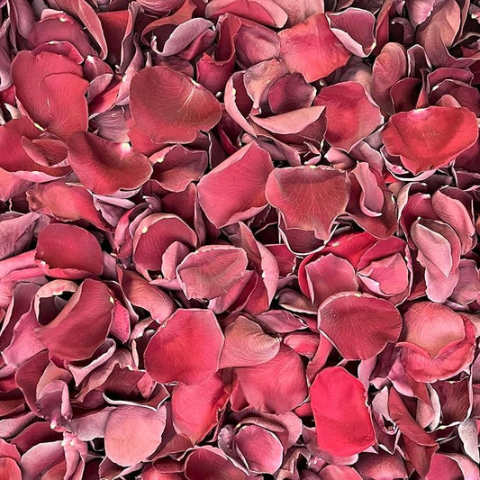 Rose Petals for Wedding Decoration, Bridal Toss, and Aisles, Freeze Dried, Use within 1 month (Burgundy, 2 cup Sample)