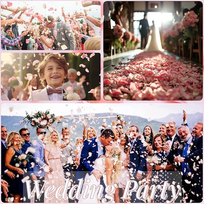 Eslibin 300 PCS Real Pink Dried Rose Petals Confetti for Wedding, 2.82oz Freeze Rose Petals for Romantic Wedding Valentine's Day Proposal Decor, Dinner Table Centerpieces Party