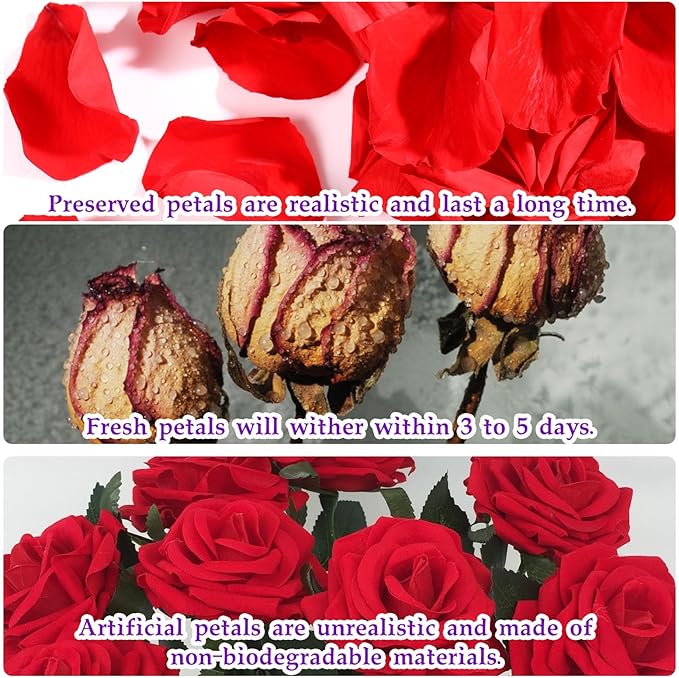 Dried Real Rose Petals, Preserved Flower Petals Confetti for Wedding, Romantic Night for Her Set, Engagement, Bridal Shower, Valentine's Day, Flower Girl Party Dinner Table Decor (3oz, Red)