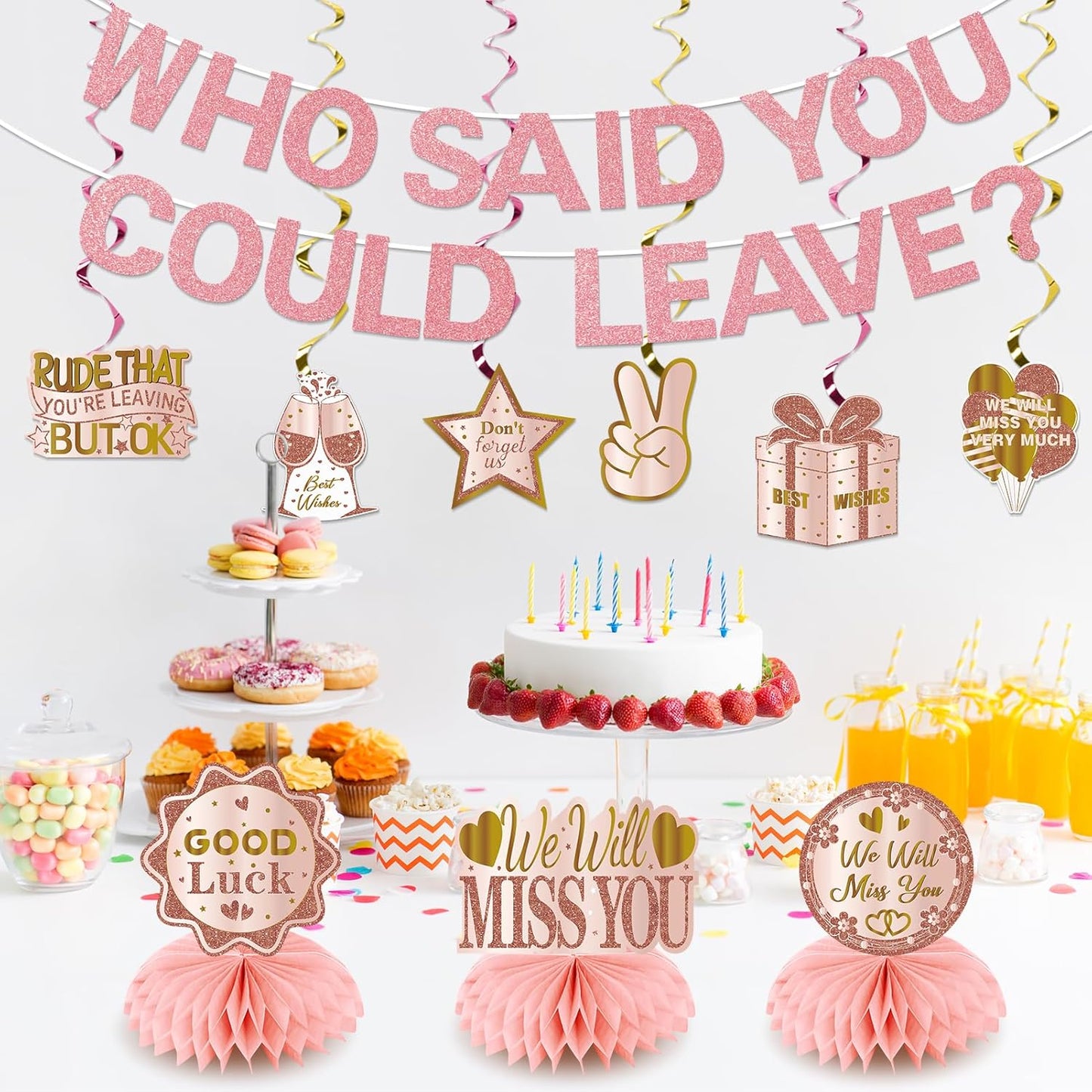 Going Away Party Decorations, Who Said You Could Leave Banner Good Luck We Will Miss You Farewell Decorations Retirement Goodbye Decor Table Centerpieces Hanging Swirls Party Supplies, Pink Rose Gold
