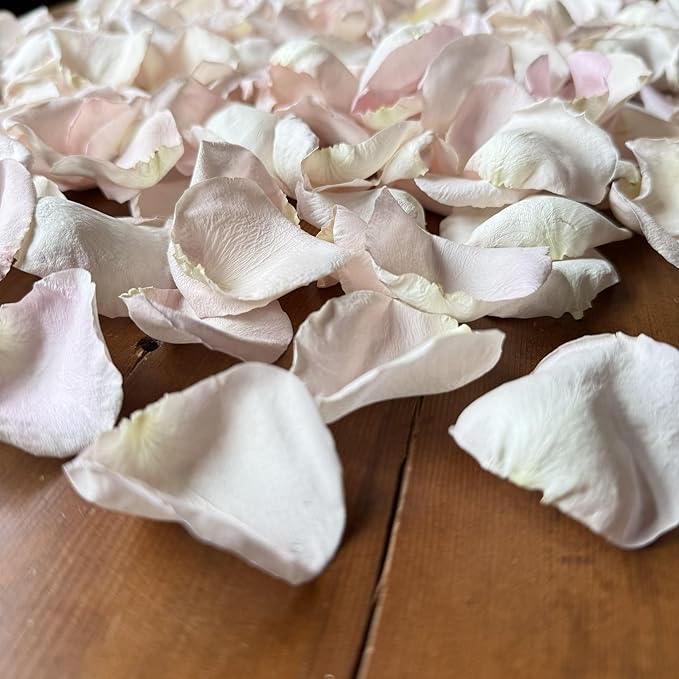 Rose Petals for Wedding Decoration, Bridal Toss, and Aisles, 10 cups, Freeze Dried, Use within 1 month (Bashful)
