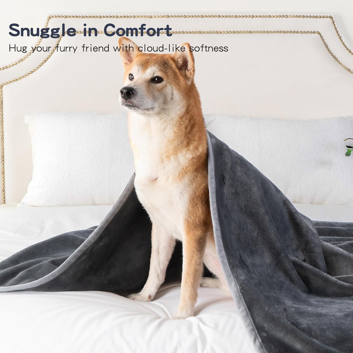 Waterproof Dog Blankets Dark Grey, 30"x40" Cat Blanket for Indoor Cats, Soft Fluffy Sofa Car Bed Protector, Reversible Leakproof Flannel Puppy Blanket for Small Medium Dogs