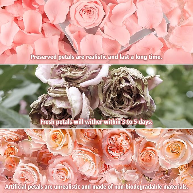 Dried Real Rose Petals, Preserved Flower Petals Confetti for Wedding, Romantic Night for Her Set, Engagement, Bridal Shower, Valentine's Day, Flower Girl Party Dinner Table Decor (1.4oz, Pink)
