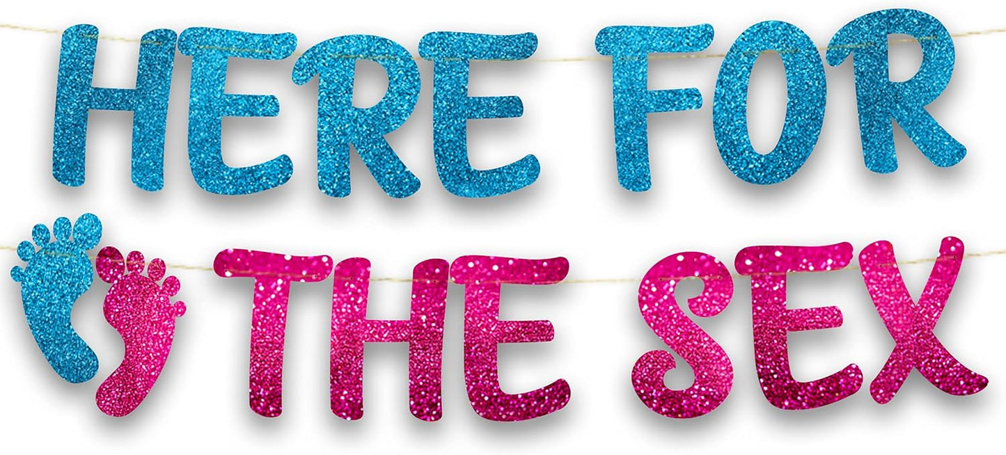 Gender Reveal Party Banner – Pink and Blue Baby Shower Decorations