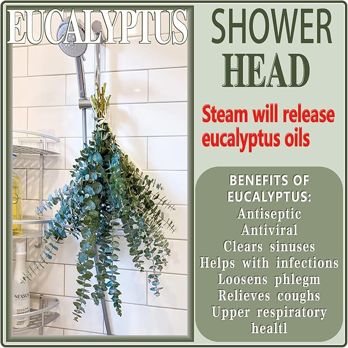 20 Pcs Preserved Dried Eucalyptus Stems, 17" Natural Fresh Eucalyptus Branches for Shower, Real Plant for Vase Filler, Dried Flowers Arrangement, Floral Home Decor