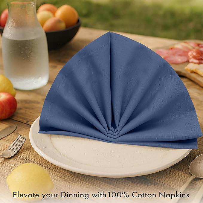 Ruvanti Cloth Napkins Set of 6, 100% Cotton High GSM 18x18 Inches Soft, Washable, Highly Durable & Absorbent, Perfect for Parties, Christmas, Thanksgiving Dinners – Bijou Blue