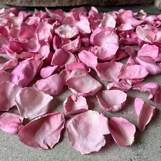 Rose Petals for Wedding Decoration, Bridal Toss, and Aisles, 10 cups, Use within 1 month (Pink)