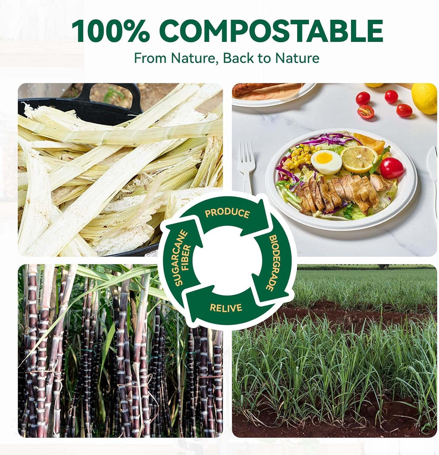JOLLY CHEF 100% Compostable Paper Plates, 150 Pack 10 Inch Heavy Duty Plates, Disposable Biodegradable Eco-Friendly Sugarcane, Bulk White