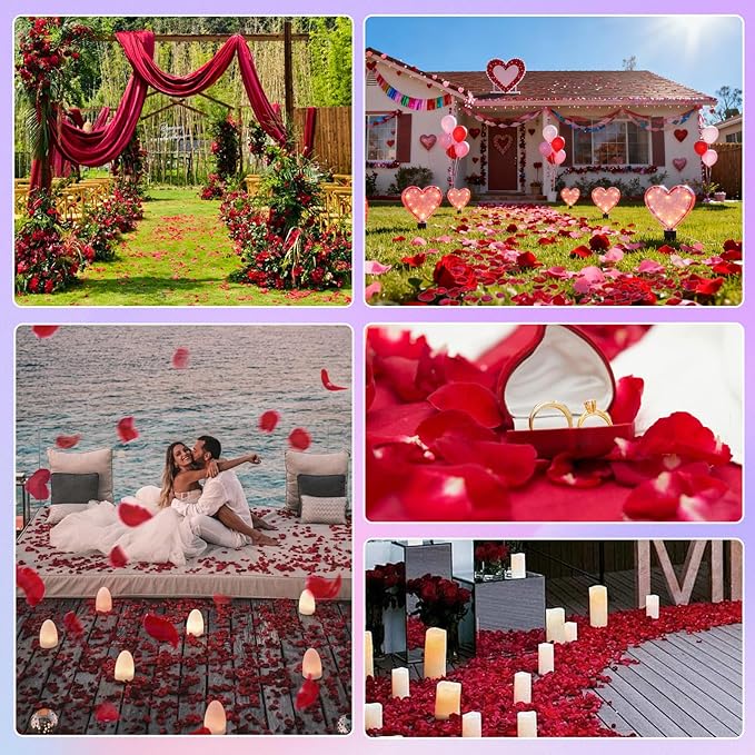 180+PCS Real Red Rose Petals Confetti for Romantic Night, 1.75oz Freeze Dried Preserved Flower Petals for Wedding Aisle, Proposal, Anniversary, DIY Crafts, Table Scatter & Party Decor