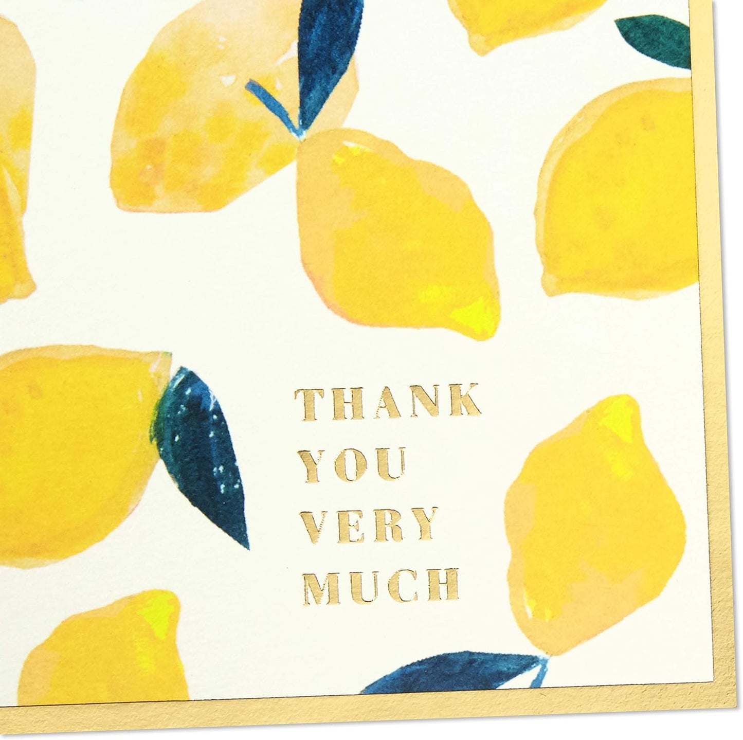 Hallmark Boxed Thank You and Blank Cards Assortment (Four Assorted Tropical Designs, 40 Note Cards and Envelopes)