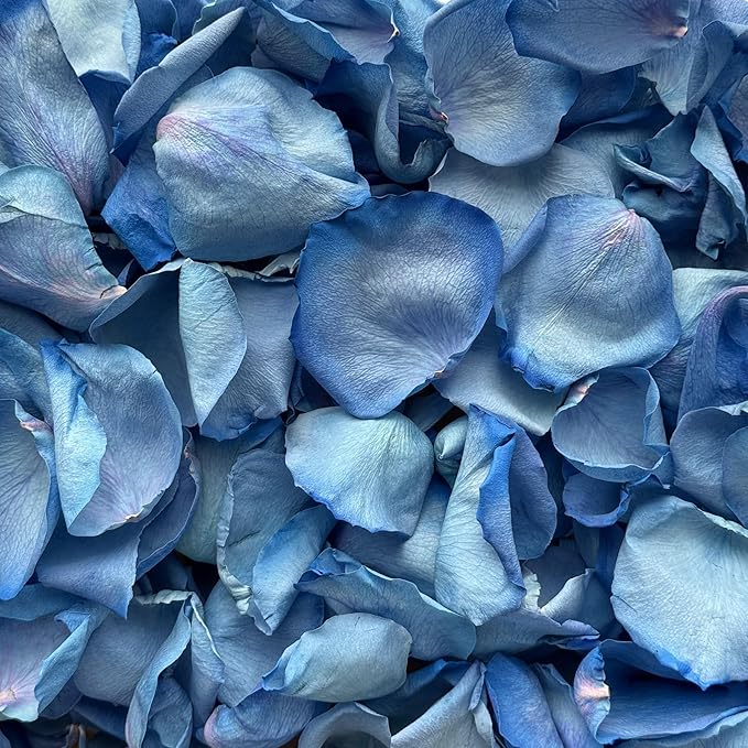 Rose Petals for Wedding Decoration, Bridal Toss, and Aisles, 10 cups, Freeze Dried, Use within 1 month (Blue)